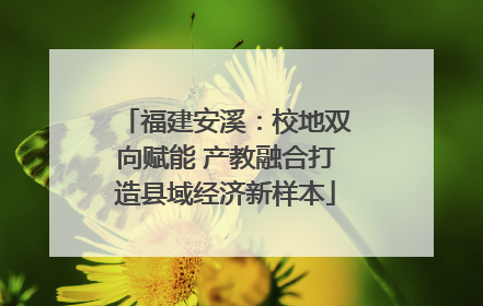 福建安溪：校地双向赋能 产教融合打造县域经济新样本