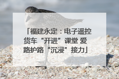 福建永定：电子遥控货车“开进”课堂 爱路护路“沉浸”接力