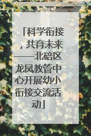 科学衔接，共育未来——北碚区龙凤教管中心开展幼小衔接交流活动