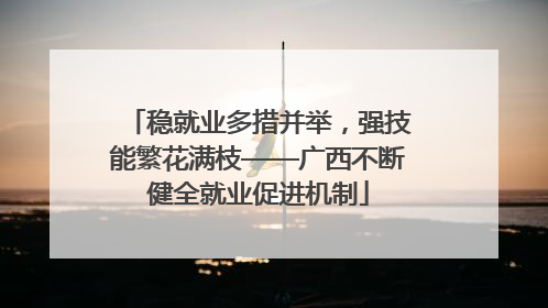 稳就业多措并举，强技能繁花满枝——广西不断健全就业促进机制