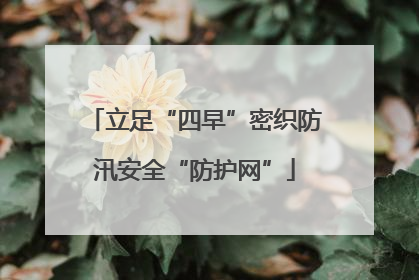 立足“四早”密织防汛安全“防护网”