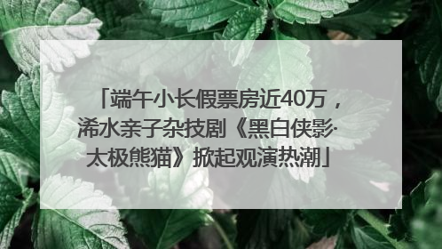 端午小长假票房近40万，浠水亲子杂技剧《黑白侠影·太极熊猫》掀起观演热潮