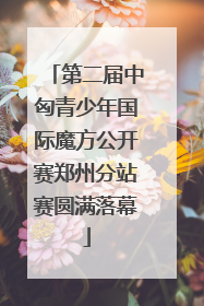 第二届中匈青少年国际魔方公开赛郑州分站赛圆满落幕