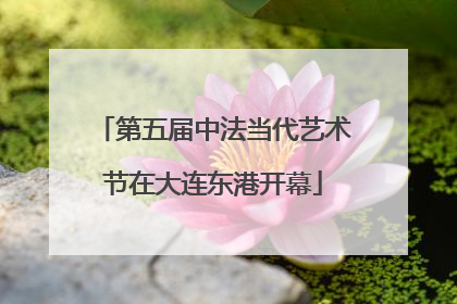 第五届中法当代艺术节在大连东港开幕