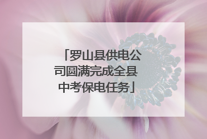 罗山县供电公司圆满完成全县中考保电任务