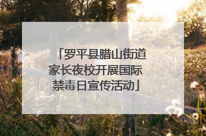 罗平县腊山街道家长夜校开展国际禁毒日宣传活动
