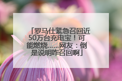 罗马仕紧急召回近50万台充电宝！可能燃烧……网友：倒是说明咋召回啊