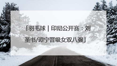 羽毛球｜印尼公开赛：刘圣书/谭宁晋级女双八强
