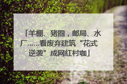 羊棚、猪圈，邮局、水厂……看废弃建筑“花式逆袭”成网红村咖