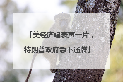 美经济唱衰声一片，特朗普政府急下通牒
