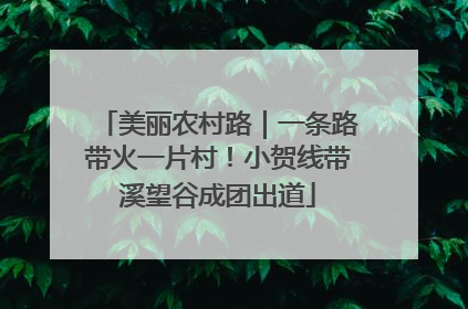 美丽农村路｜一条路带火一片村！小贺线带溪望谷成团出道