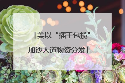 美以“插手包揽”加沙人道物资分发