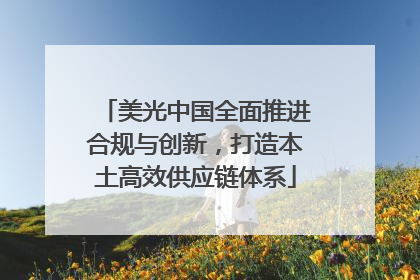 美光中国全面推进合规与创新，打造本土高效供应链体系