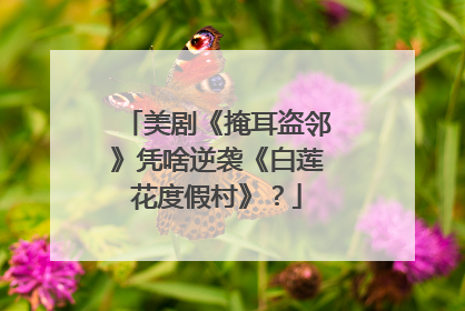 美剧《掩耳盗邻》凭啥逆袭《白莲花度假村》？