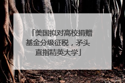 美国拟对高校捐赠基金分级征税，矛头直指精英大学