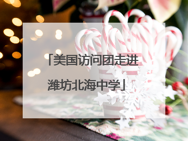 美国访问团走进潍坊北海中学