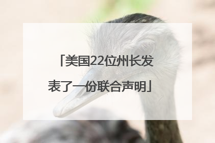 美国22位州长发表了一份联合声明