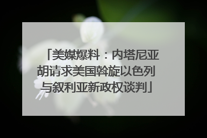 美媒爆料：内塔尼亚胡请求美国斡旋以色列与叙利亚新政权谈判