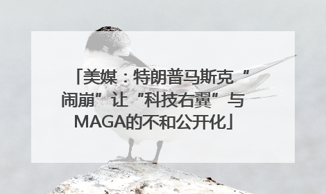 美媒：特朗普马斯克“闹崩”让“科技右翼”与MAGA的不和公开化