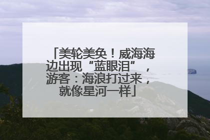 美轮美奂！威海海边出现“蓝眼泪”，游客：海浪打过来，就像星河一样