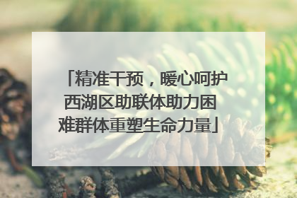 精准干预，暖心呵护 西湖区助联体助力困难群体重塑生命力量