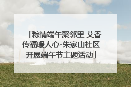 粽情端午聚邻里 艾香传福暖人心-朱家山社区开展端午节主题活动