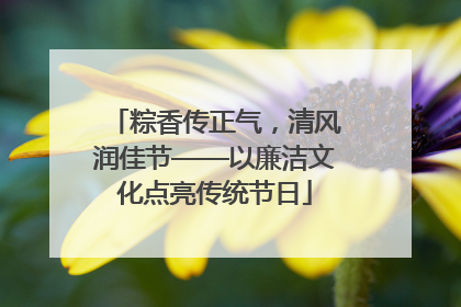 粽香传正气，清风润佳节——以廉洁文化点亮传统节日