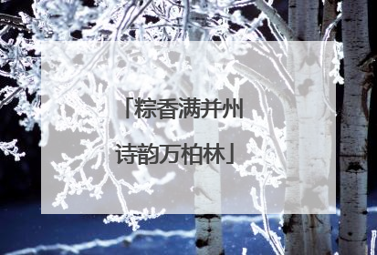 粽香满并州 诗韵万柏林