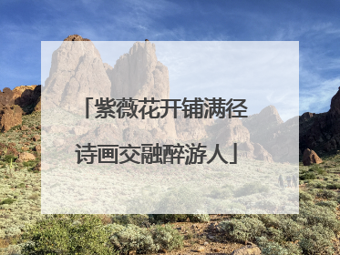 紫薇花开铺满径 诗画交融醉游人