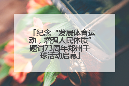 纪念“发展体育运动，增强人民体质”题词73周年郑州手球活动启幕