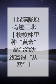 绿满陇原·奇迹三北｜梭梭林里种“黄金” 高台治沙致富很“从容”