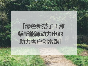 绿色新搭子！潍柴新能源动力电池助力客户创富路