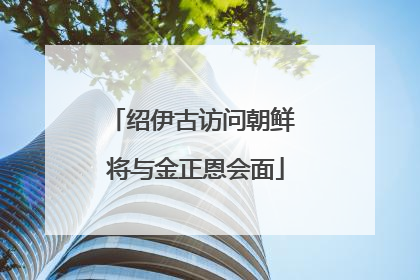 绍伊古访问朝鲜 将与金正恩会面