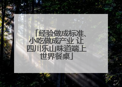 经验做成标准、小吃做成产业 让四川乐山味道端上世界餐桌