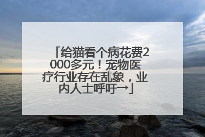 给猫看个病花费2000多元！宠物医疗行业存在乱象，业内人士呼吁→