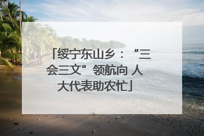 绥宁东山乡：“三会三文”领航向 人大代表助农忙