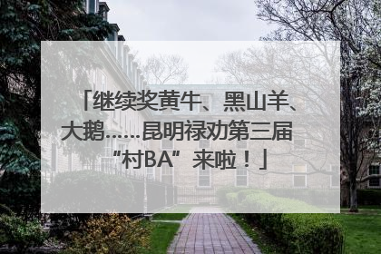 继续奖黄牛、黑山羊、大鹅……昆明禄劝第三届“村BA”来啦！