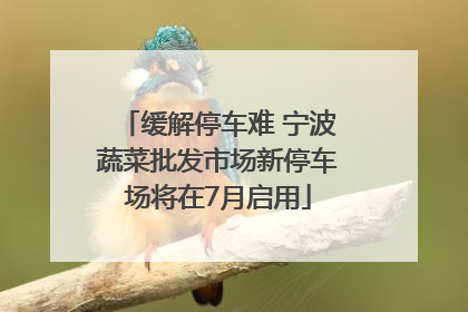 缓解停车难 宁波蔬菜批发市场新停车场将在7月启用