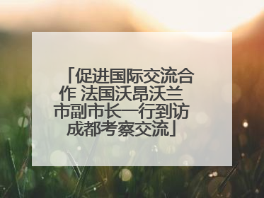 促进国际交流合作 法国沃昂沃兰市副市长一行到访成都考察交流