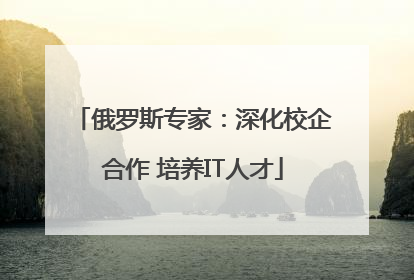 俄罗斯专家：深化校企合作 培养IT人才