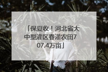 保夏收！河北省大中型灌区春灌农田707.4万亩