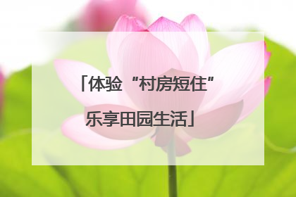 体验“村房短住” 乐享田园生活