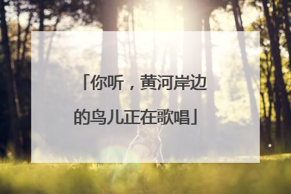你听，黄河岸边的鸟儿正在歌唱