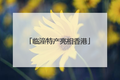 临潼特产亮相香港