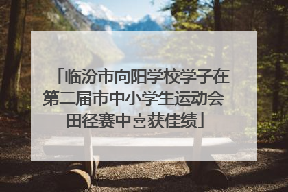 临汾市向阳学校学子在第二届市中小学生运动会田径赛中喜获佳绩