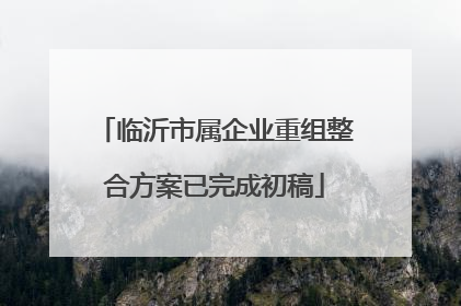临沂市属企业重组整合方案已完成初稿