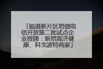 临港新片区增值电信开放第二批试点企业授牌：新增高济健康、科戈波特两家