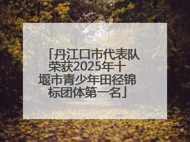 丹江口市代表队荣获2025年十堰市青少年田径锦标团体第一名