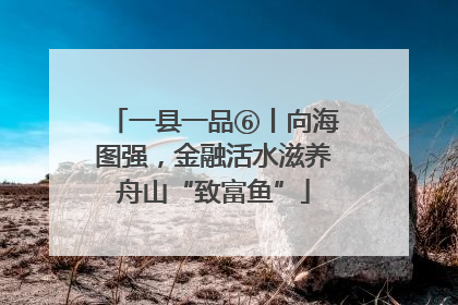 一县一品⑥丨向海图强，金融活水滋养舟山“致富鱼”