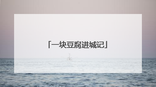 一块豆腐进城记